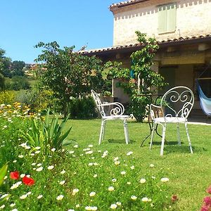 Bed and Breakfast Poggio Dei Prugnoli Tavoleto Exterior photo