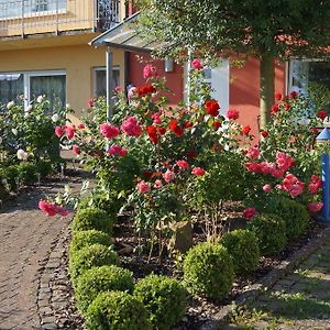 Ferienwohnung Ferienhaus Schloss-Garten Kapellen-Drusweiler Exterior photo