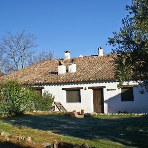 Gasthaus Cortijo Del Cura Cortijos Nuevos Room photo