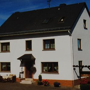 Hotel Pension Loni Theisen Kelberg Exterior photo