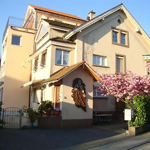 Bed and Breakfast Niros Bed & Breakfast Basel Exterior photo