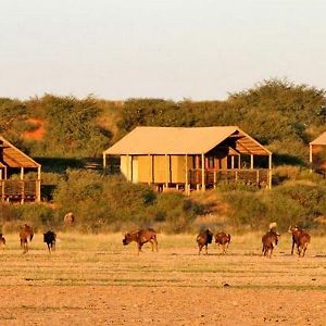 Intu Africa / Suricate Tented Lodge Hoachanas Exterior photo