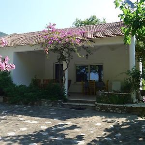 Villa Goitia Marathias  Exterior photo