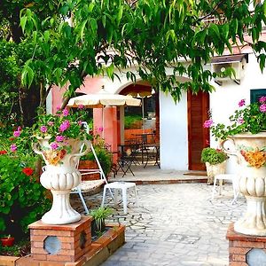 Bed and Breakfast Nonna Vincenza Maratea Exterior photo