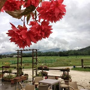 Villa Agriturismo San Floreano Buia Exterior photo