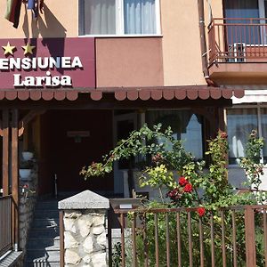 Hotel Pension Larisa Arad Exterior photo