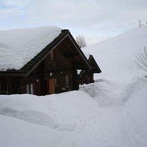 Ferienwohnungen im Blockhaus Metzler Schwarzenberg im Bregenzerwald Exterior photo