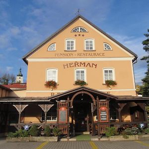 Hotel Pension Herman Rudník Exterior photo