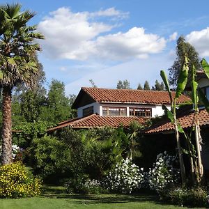 Ferienwohnung Casa Chueca - Divino Talca  Exterior photo