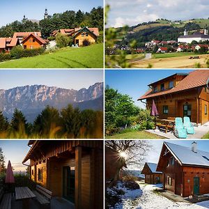 Villa Haus Helene im Öko-Feriendorf Schlierbach Exterior photo