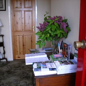 Bed and Breakfast The Bungalow Farmhouse Clomantagh Exterior photo