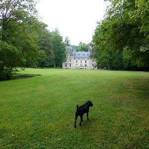 Villa Chateau De La Raffe Naix-aux-Forges Exterior photo