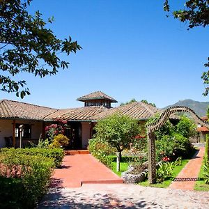 Hotel La Quinta San Andres Ibarra Exterior photo