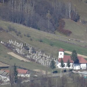 Villa Pensiunea Margareta Sita Buzăului Exterior photo