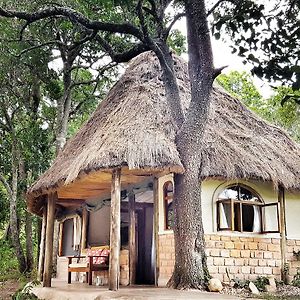 Gasthaus House In The Wild Maasai Mara Exterior photo