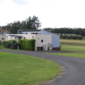 Aparthotel Adina Vineyard Lovedale Exterior photo