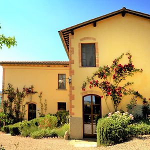 Villa Agriturismo Il Segreto Di Pietrafitta San Gimignano Exterior photo