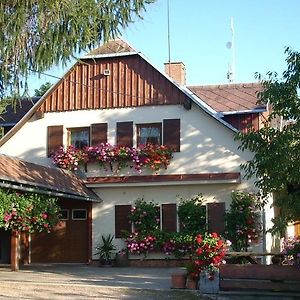 Hotel Pension Ivanka Jestrabi V Krkonosich Exterior photo