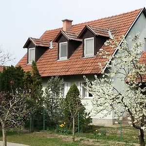 Villa Gyula-Tanya Vendeghaz Csongrád Exterior photo