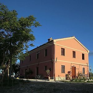 Ferienwohnung Quindici Alberi Serra deʼ Conti Exterior photo