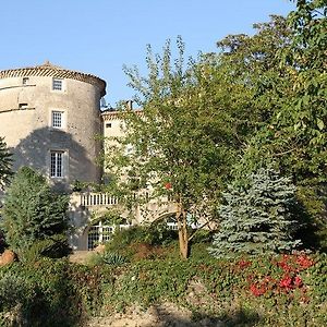 Bed and Breakfast Chateau De Mauras Chomérac Exterior photo