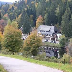 Hotel Klosterweiherhof Dachsberg im Schwarzwald Exterior photo