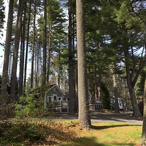 Pine Grove Cottages Lincolnville Exterior photo