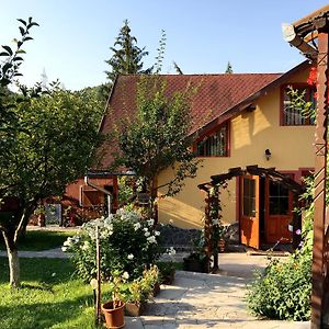 Hotel Pensiunea Gentiana Izvoru Mureşului Exterior photo