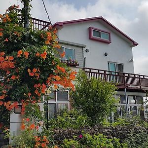 Bangdigareum B&B Seogwipo Exterior photo