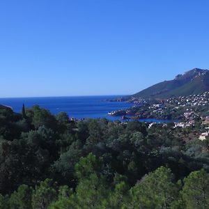 Ferienwohnung Cote d`Azur - Mandelieu Théoule-sur-Mer Exterior photo