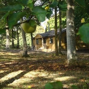 Ferienwohnung The Apple Wood Warminster Exterior photo