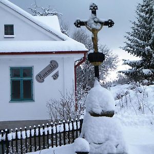 Villa Rainmühle Mariánské Lázně Exterior photo