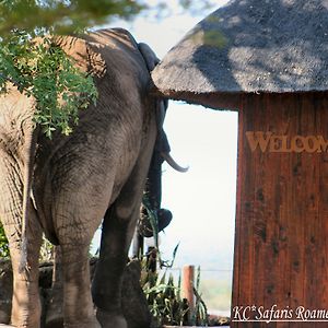 Roamers Rest Safari Lodge Naturschutzgebiet Balule Exterior photo