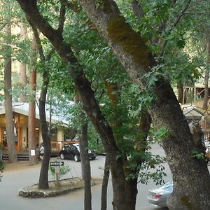 Yosemite Bug Rustic Mountain Resort Midpines Exterior photo