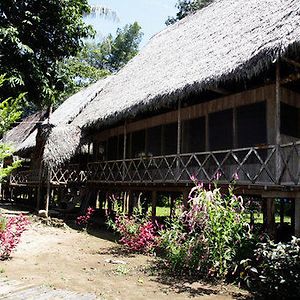 Hotel Jungle Wolf Expeditions Nauta Exterior photo