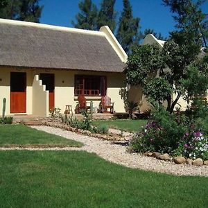 Rosedale Organic Farm B&B Addo Exterior photo