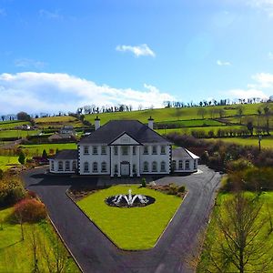 Villa The White House Ballinakill  Exterior photo