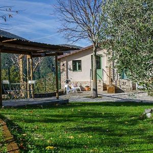 Bed and Breakfast Le Voltarelle Bed & Breakfast Serra San Quirico Exterior photo