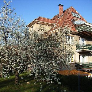 Alices-Ferienwohnungen Arnstadt Exterior photo