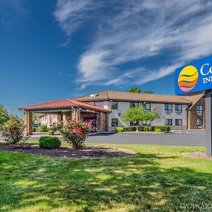 Comfort Inn&Suites West Springfield Exterior photo