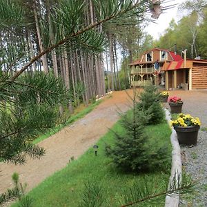 Bed and Breakfast La Maison Sous Les Arbres Saint Roch de Mekinac Exterior photo