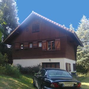 Bed and Breakfast Chalet Les Sequoias Saint-Rémy-sur-Durolle Exterior photo