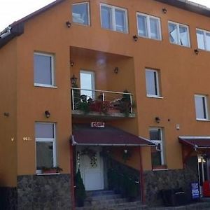 Bed and Breakfast Engi Panzio Ocna de Sus Exterior photo