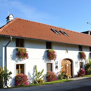 Ferienwohnung Vitalhof Roithinger Grieskirchen Exterior photo