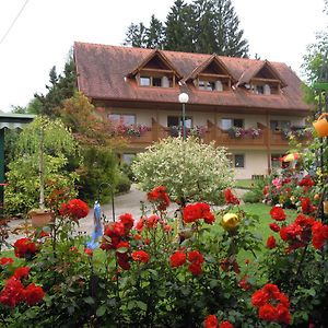 Hotel Gästehaus Zur schönen Aussicht Wies Exterior photo