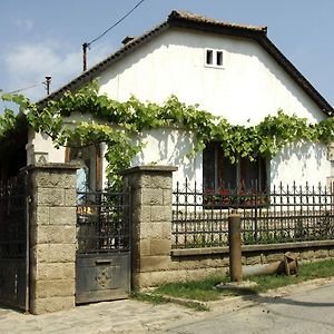 Bed and Breakfast Pataky Borporta Tarcal Exterior photo