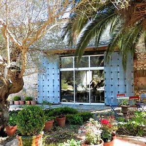 Bed and Breakfast Le Chai Catalan Ortaffa Exterior photo