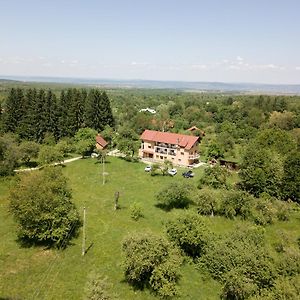 Bed and Breakfast Pensiunea Elena Vistisoara Exterior photo