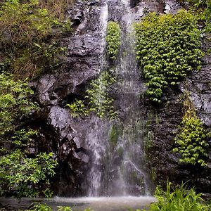 Villa Nimbin Waterfall Retreat Exterior photo