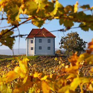 Ferienwohnung Wine Grower's Mansion Zlati Gric Slovenske Konjice Exterior photo